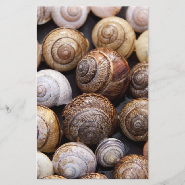 Papeterie Coques des escargots (Devant)