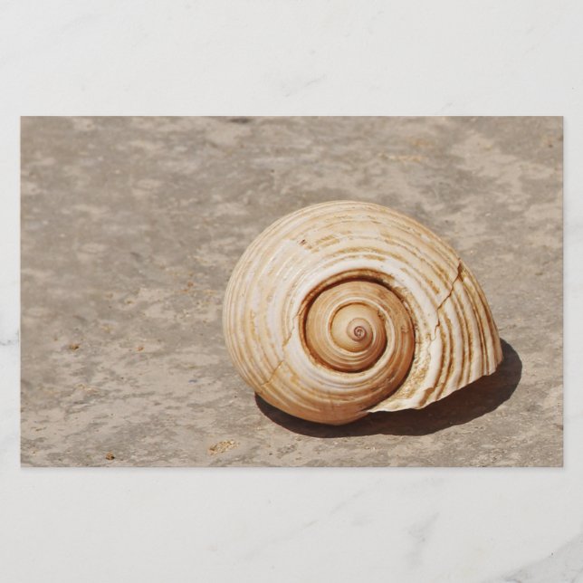 Papeterie Coquillage (Devant)