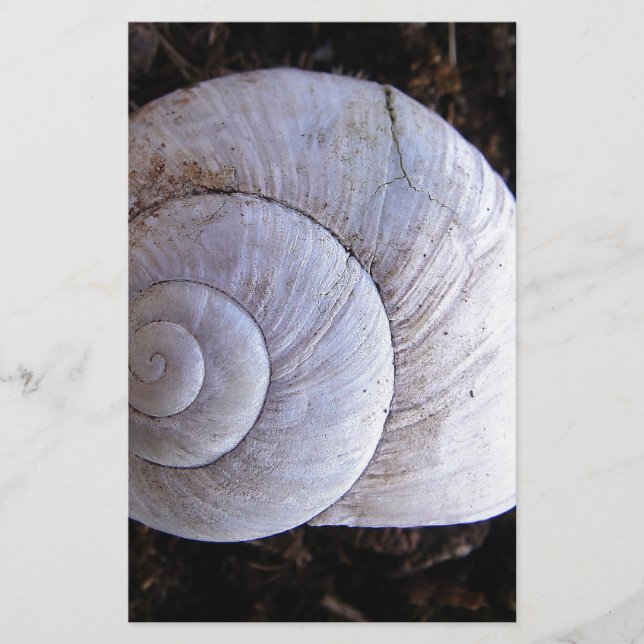 Papeterie Coquille d'escargot cool (Devant)