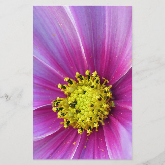Papeterie Cosmos roses (Devant)