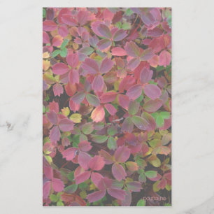 Papeterie couleurs d'automne