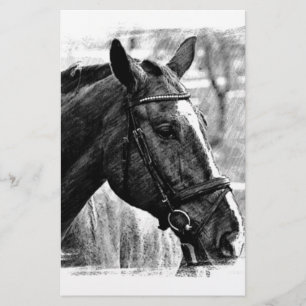 Papeterie Croquis de cheval noir et blanc