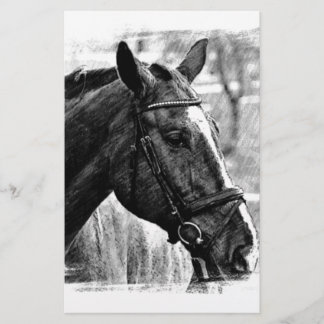 Papeterie Croquis de cheval noir et blanc