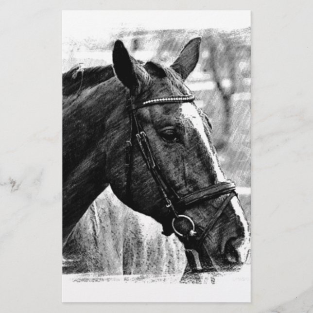 Papeterie Croquis de cheval noir et blanc (Devant)