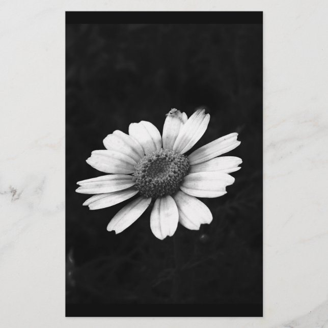 Papeterie Crown Daisy (Devant)