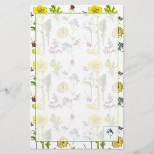 Papeterie Daffodils Pansies Plante Dessin Botanique