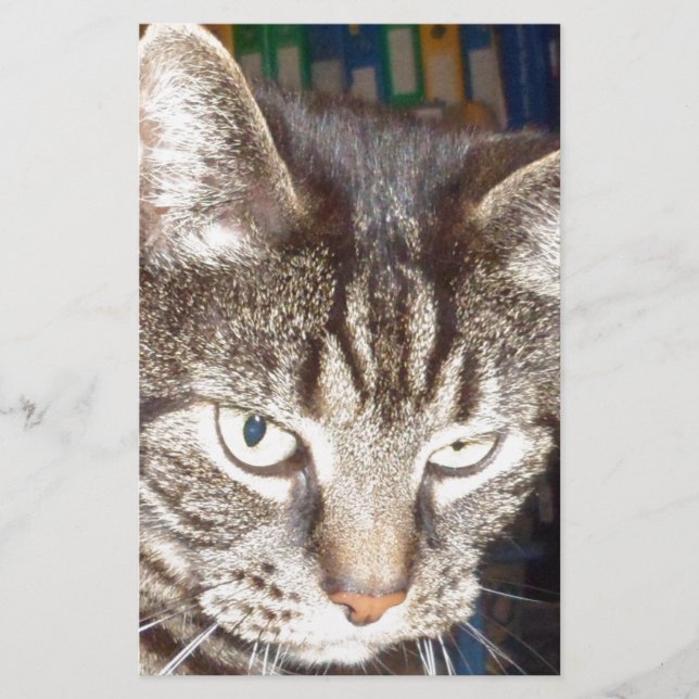 Papeterie Dave vous regarde (Devant)