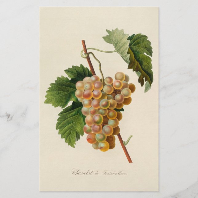 Papeterie de Chasselat De Fontainebleau (Devant)