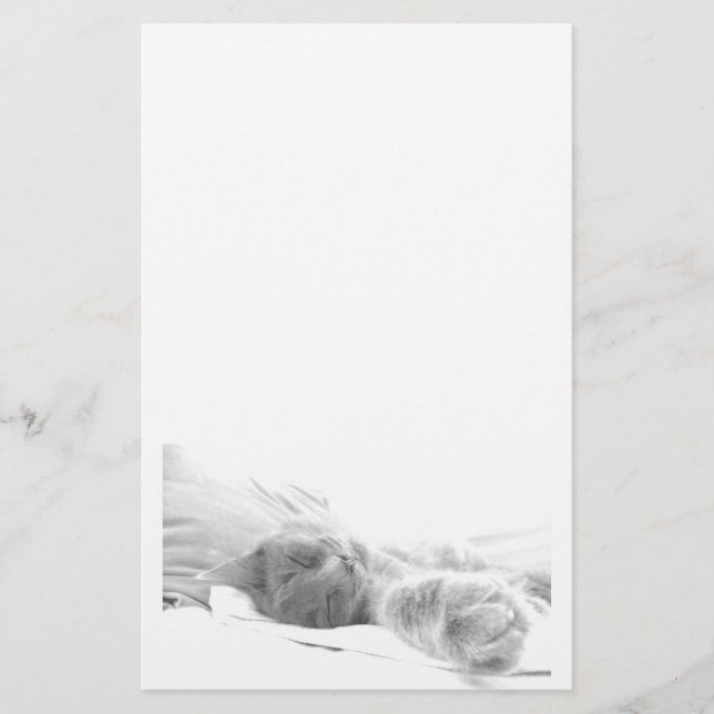 Papeterie de chat de sommeil (Devant)