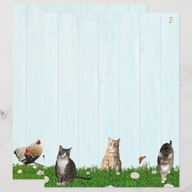 Papeterie de chat mignon - Ajout de poules à l'arr (Devant / Derrière)