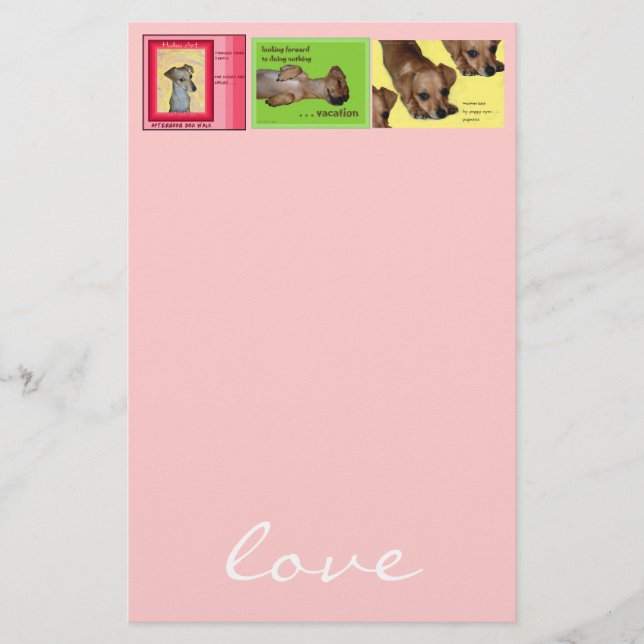 papeterie de Chi-saucisses (Devant)