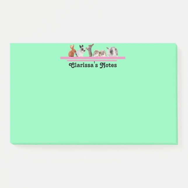 Papeterie de lapin personnalisée mignonne Post-it  (Devant)