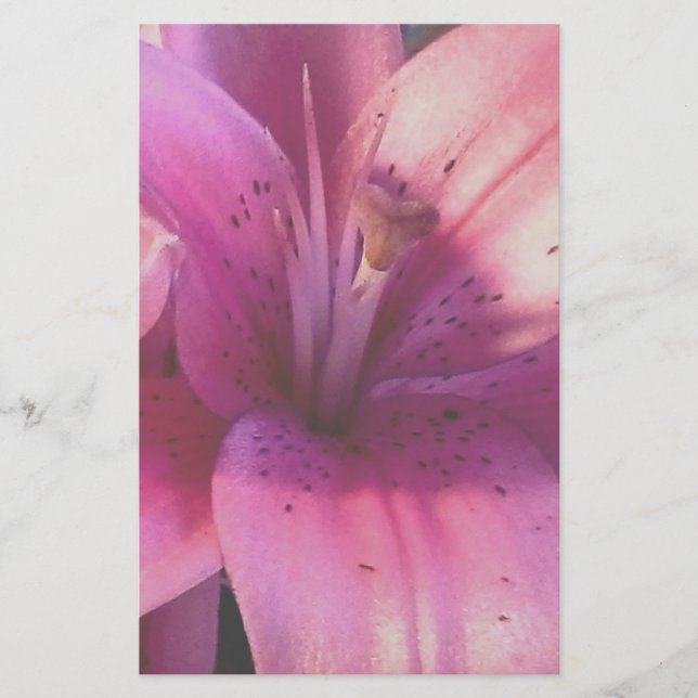 Papeterie de lis (Devant)