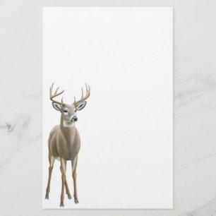 Papeterie de mâle de cerf de Virginie