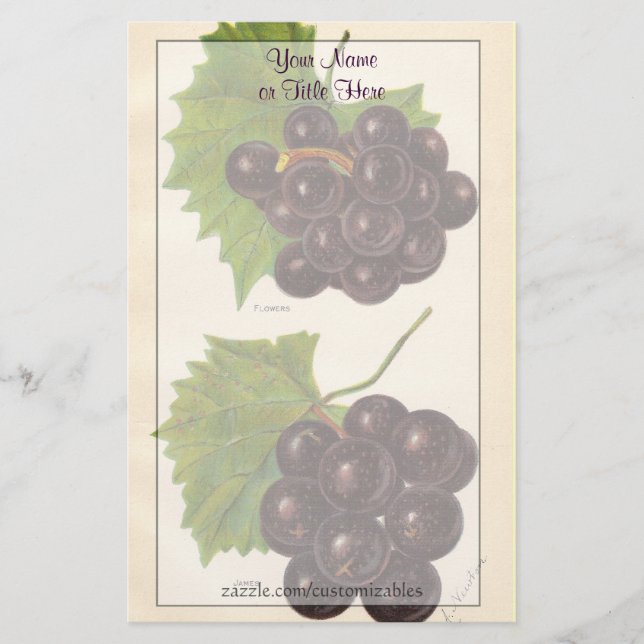 Papeterie de raisins vintages (Devant)