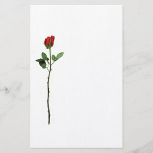 Papeterie de rose rouge