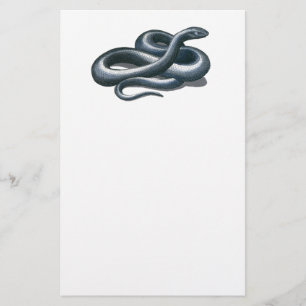 Papeterie de serpent Indigo Est