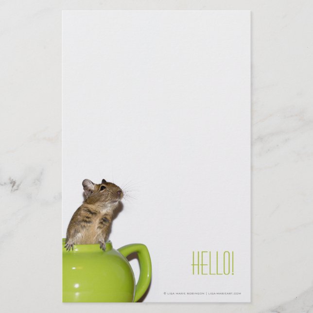 Papeterie Degu dans une théière 'Hello (Devant)