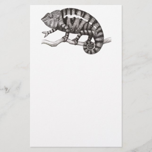 Papeterie d'étude de caméléon de panthère (Devant)