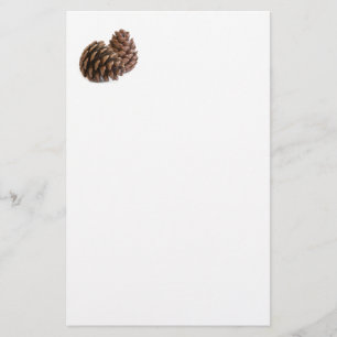 Papeterie Deux pinecones