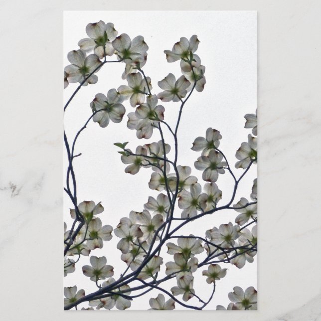 Papeterie Dogwood à fleurs blanches (Devant)