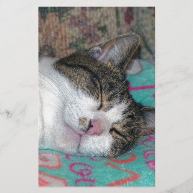 Papeterie Dormir de miel (Devant)