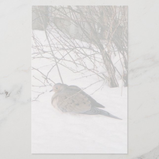 Papeterie Dove in the Snow Stationery (Devant)