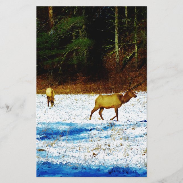 PAPETERIE DSC00131.JPG (Devant)