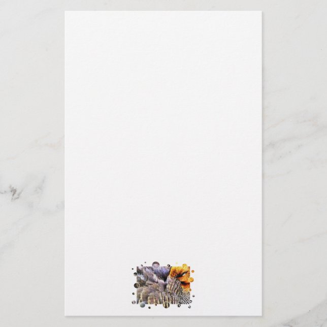 PAPETERIE DUCKS (Devant)