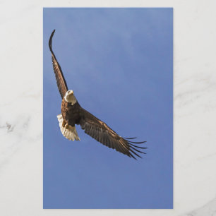 Papeterie Eagle chauve montant