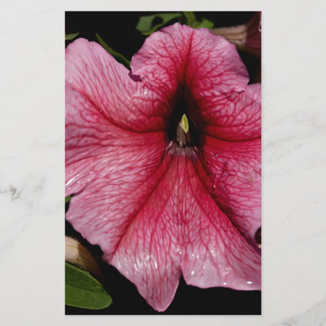 Papeterie Éclosion florale (Devant)