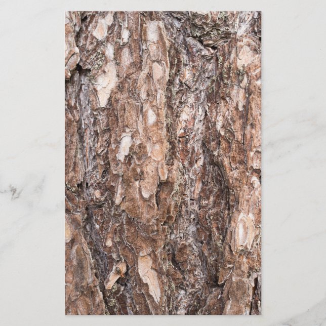 Papeterie Écorce de pin (Devant)