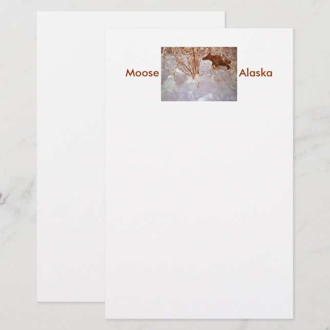 Papeterie Élan d'Alaska (Devant / Derrière)