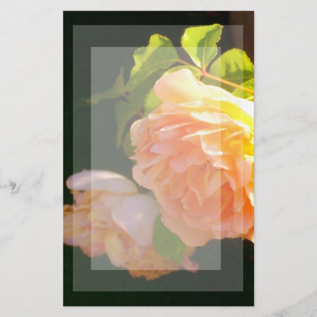 Papeterie Elégant classique pêche orange rose floral (Devant)