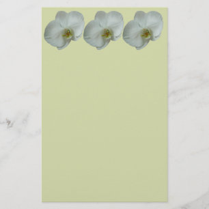 Papeterie Élégante floraison d'orchidées blanches