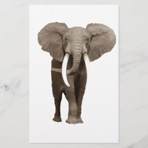Papeterie Éléphant