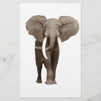 Papeterie Éléphant
