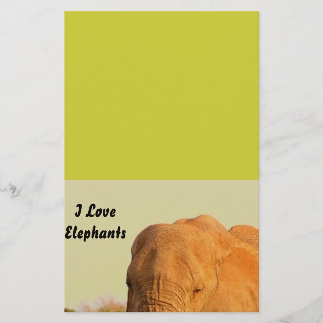 Papeterie Éléphants (Devant)