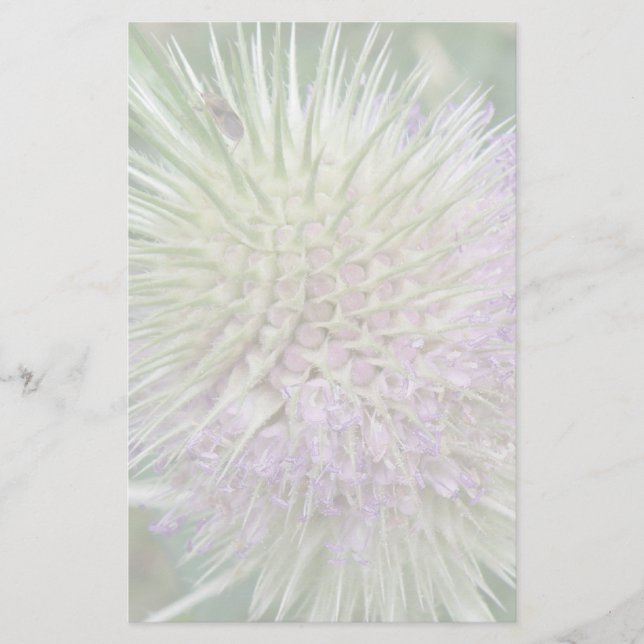 Papeterie en herbe sauvage (Devant)