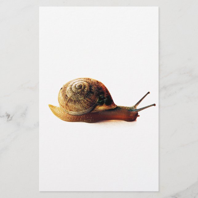 Papeterie escargot (Devant)