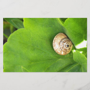 Papeterie escargot