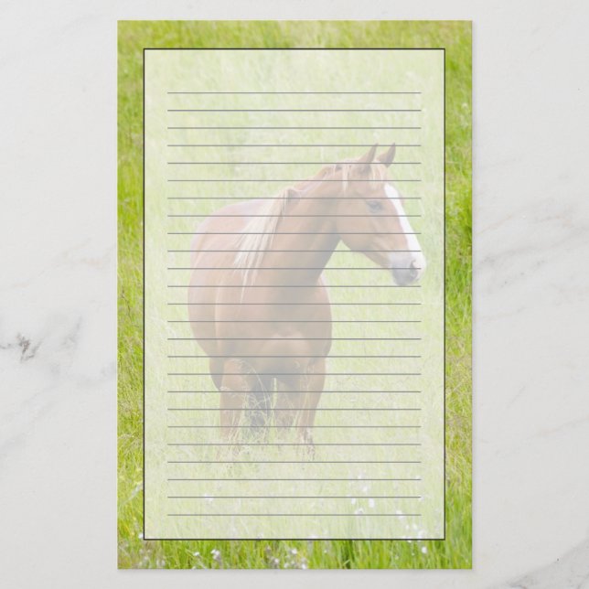 Papeterie États-Unis, Washington, Cheval dans un champ print (Devant)