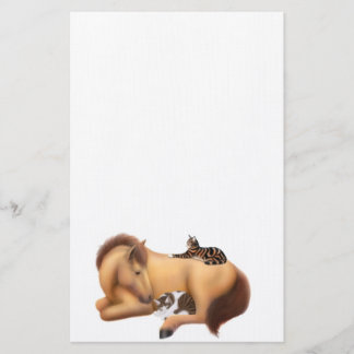 Papeterie Faire des amis avec des papiers Felines