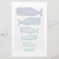 Famille de baleines bleues