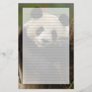Papeterie Famille du panda géant (Ailuropoda melanoleuca)