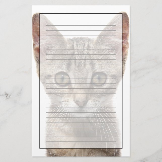 Papeterie Fermez-vous vers le haut du portrait d'un chaton (Devant)