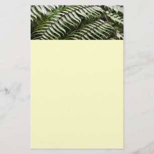 Papeterie Fern Fronds II Dark Green Nature