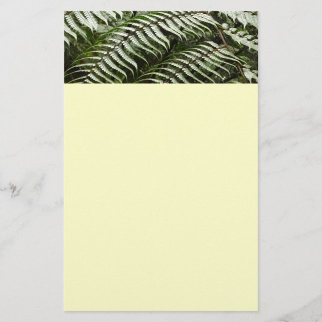 Papeterie Fern Fronds II Dark Green Nature (Devant)