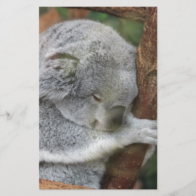 Papeterie Fête au bureau mignonne de douche d'ours de koala (Devant)