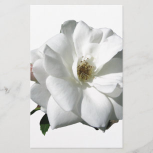 Papeterie Fête de Mariage aux Roses Blanches Floraison du De